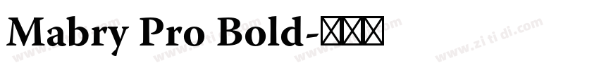 Mabry Pro Bold字体转换